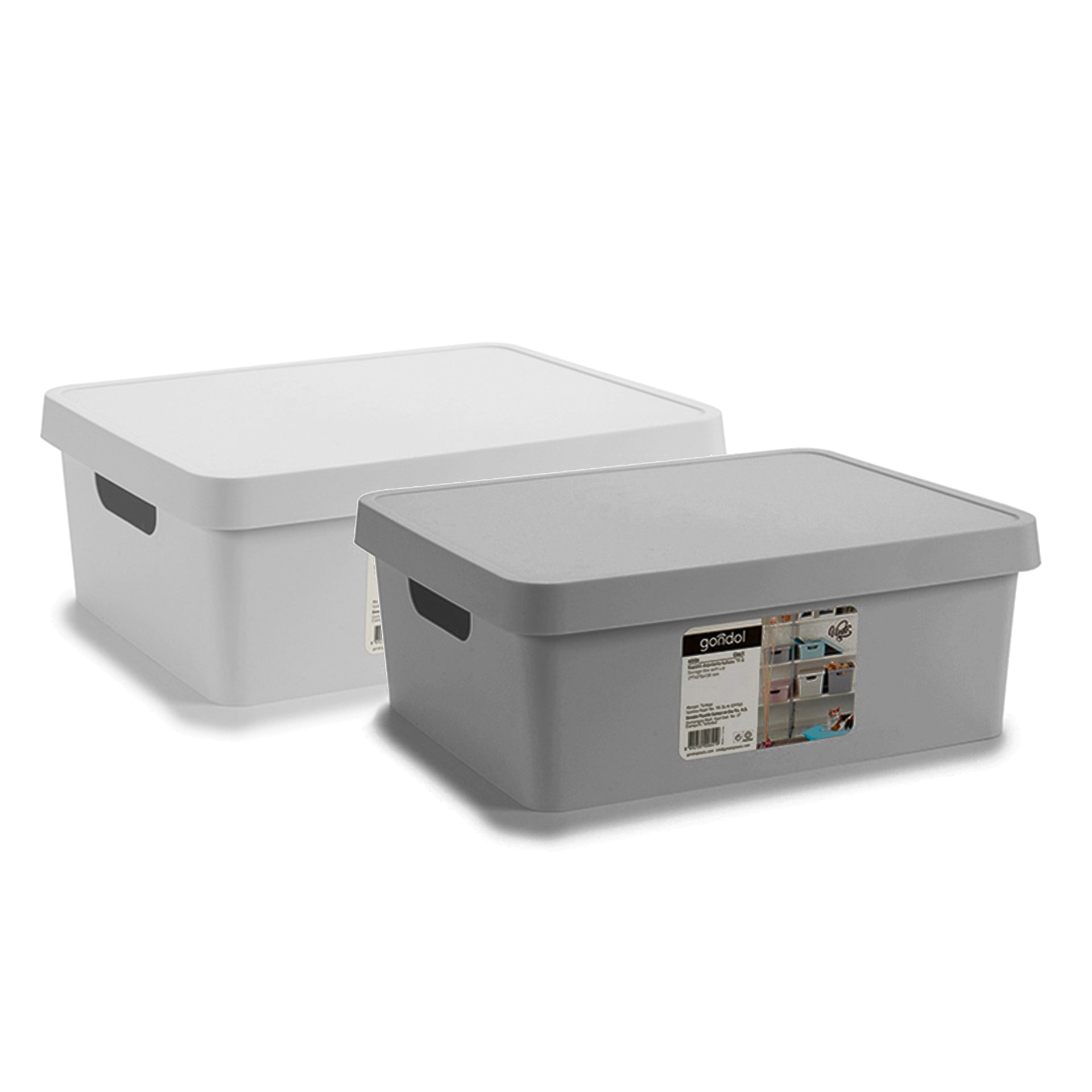 Caja de Almacenamiento con Tapa 11 L