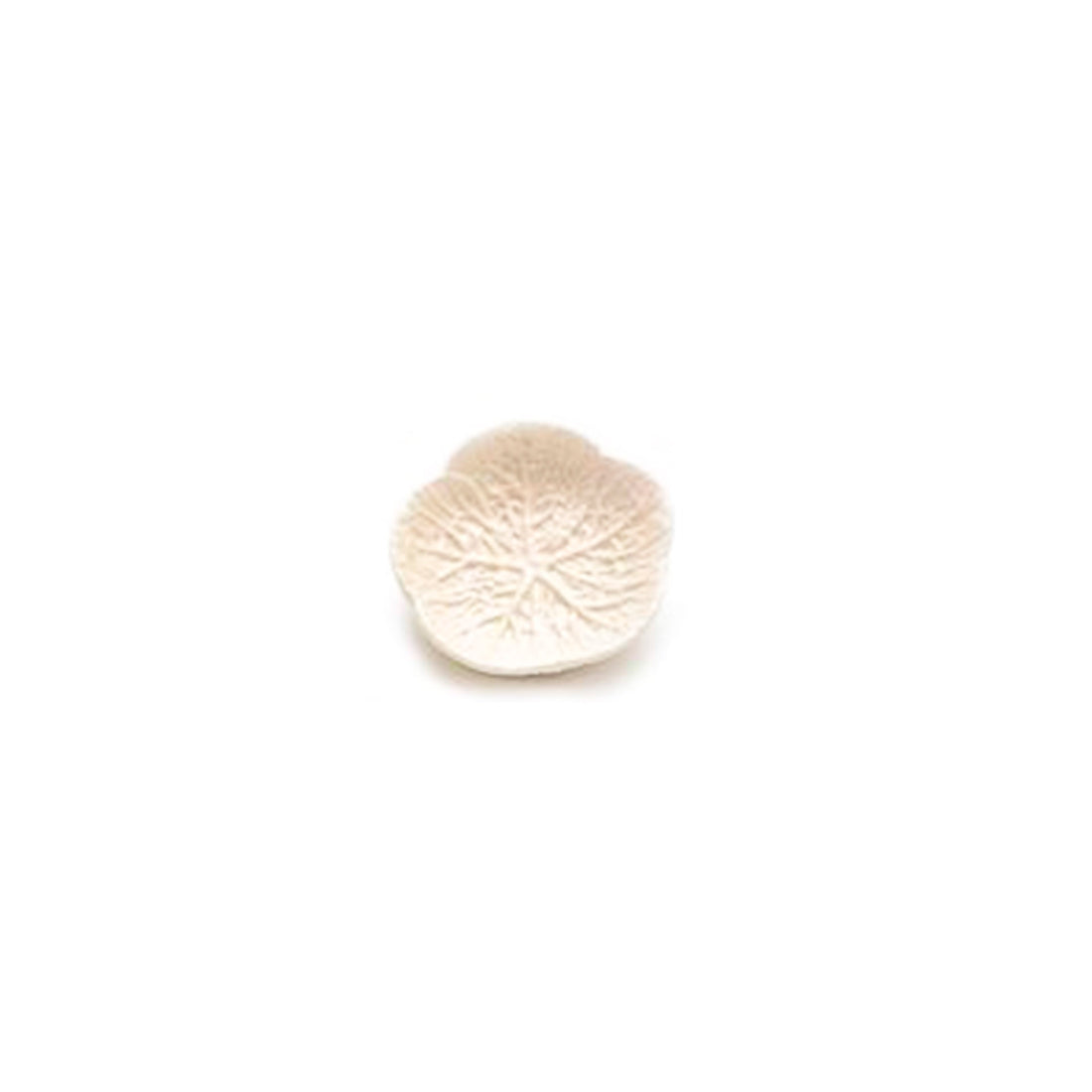 Tacinha Couve Branca