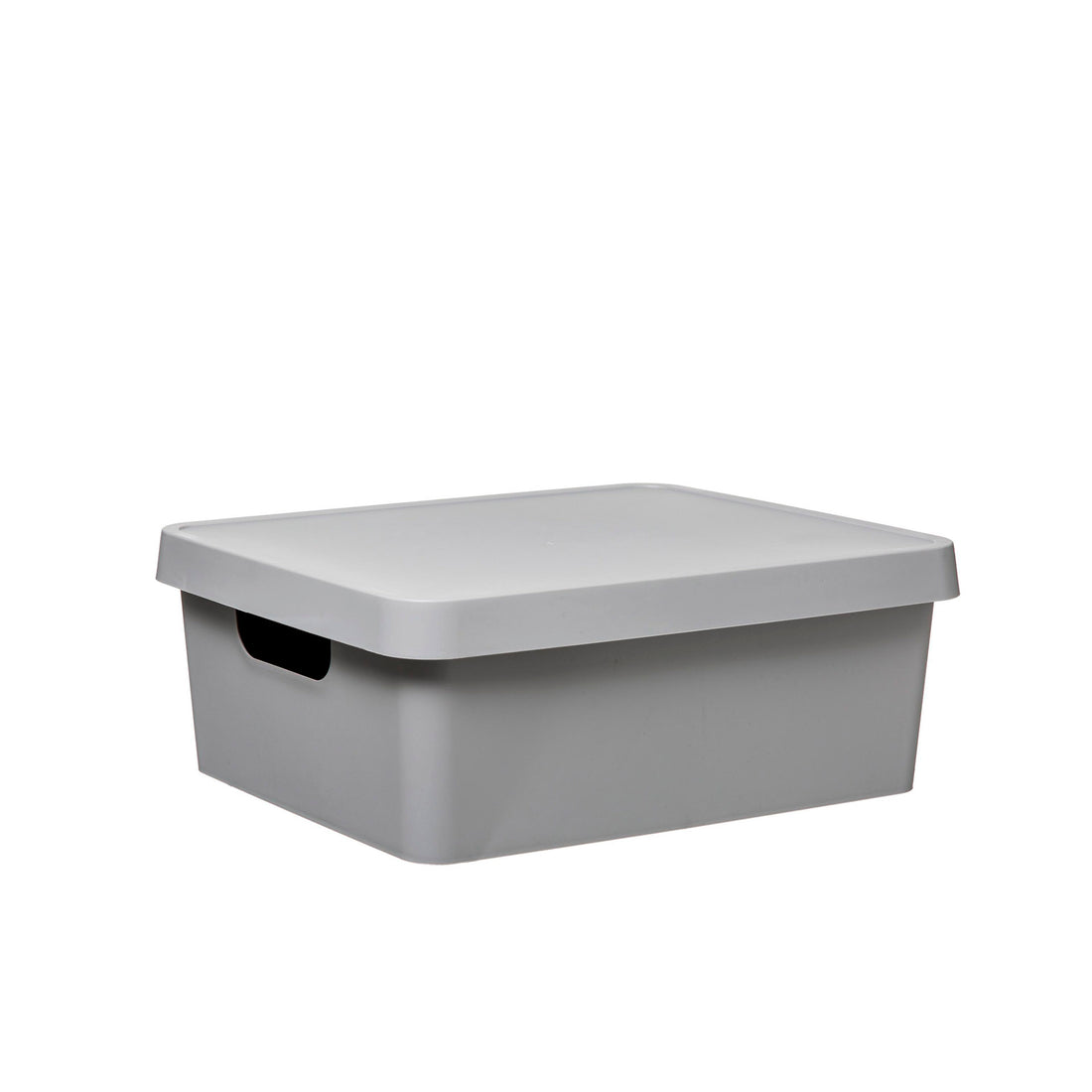 Caja de Almacenamiento con Tapa Gris 11 L